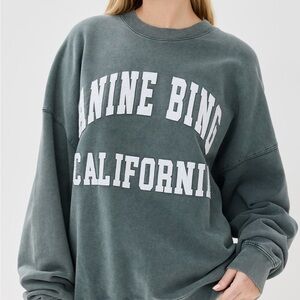 Anine bing miles sweatshirt